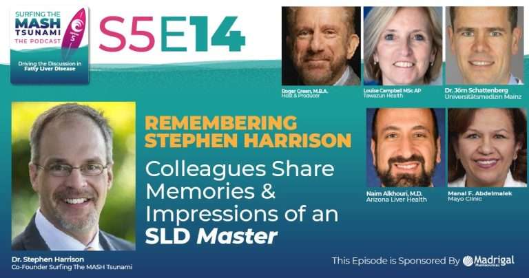 Remembering Stephen Harrison - colleagues share memories and impressions of an SLD master